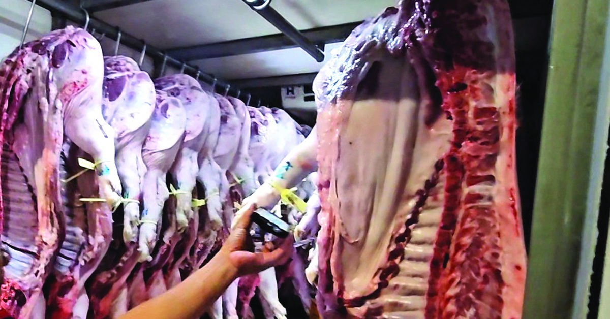 Bộ Y tế kiểm tra đột xuất bếp ăn tập thể tại Hà Nội và Ninh Bình