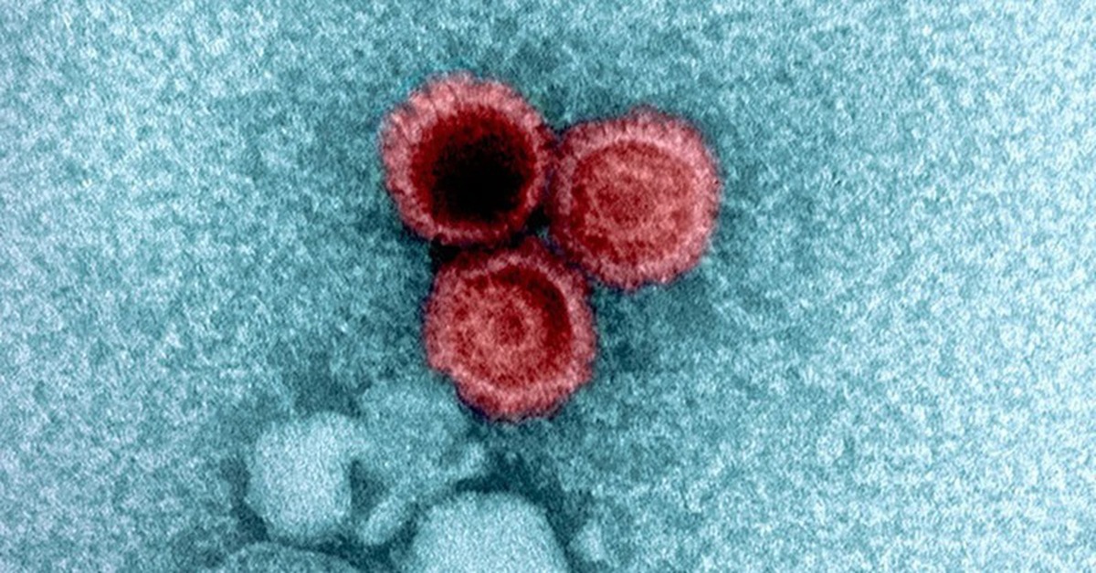 Hé lộ bí mật vi rút ‘ngủ đông’ cả đời trong cơ thể người mà không phát bệnh