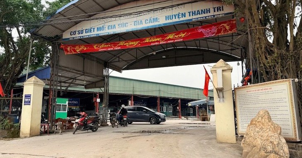 Cách cán bộ kiểm dịch vòi tiền, 'mở cửa' cho 3.600 con heo bệnh vào chợ, bếp ăn trường học