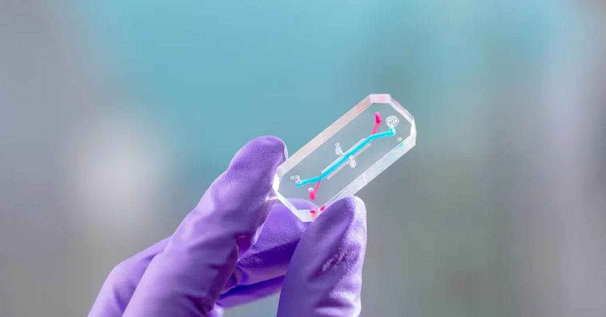 NASA gửi 'chip nội tạng' phi hành gia Artemis II lên vũ trụ để làm gì?