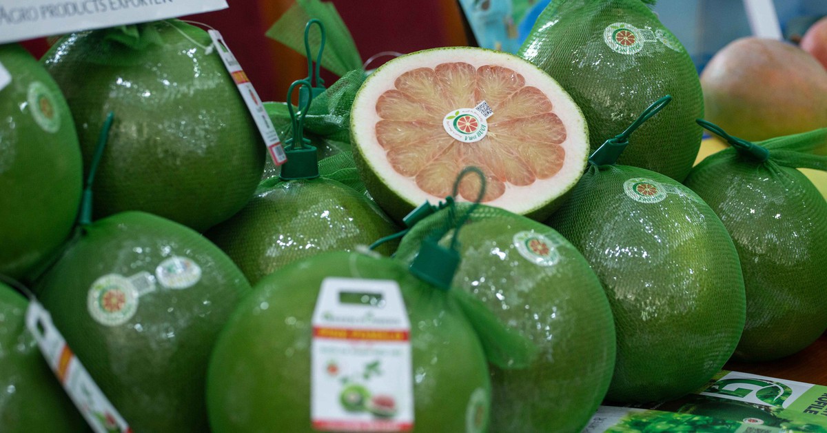 Việt Nam chuẩn bị xuất khẩu lô bưởi đầu tiên sang Úc