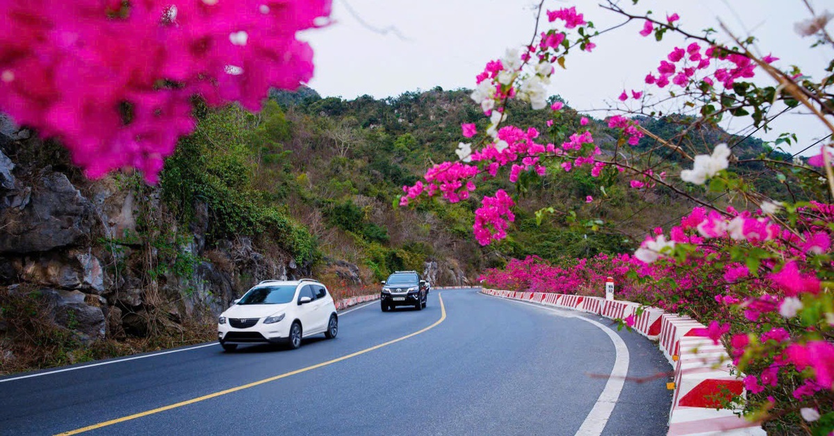 Cung đường Cát Bà đẹp như mơ