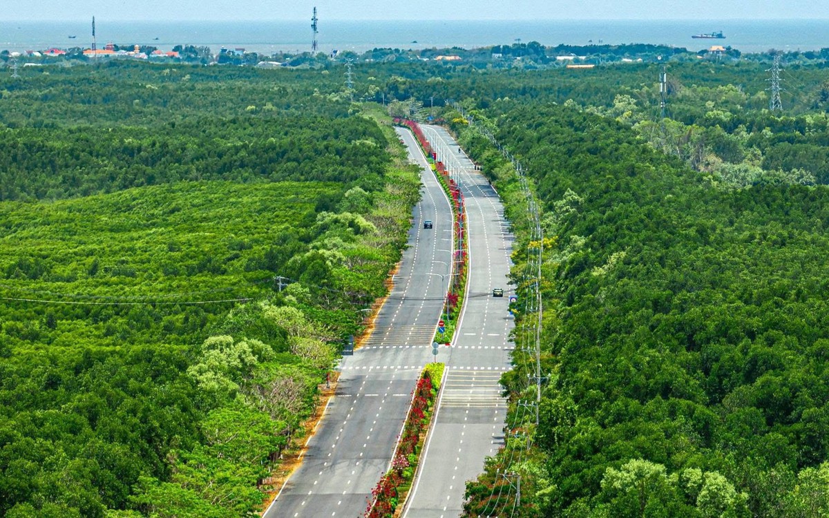 Các runner sẽ được trải nghiệm đường đua tốt nhất tại Cần Giờ