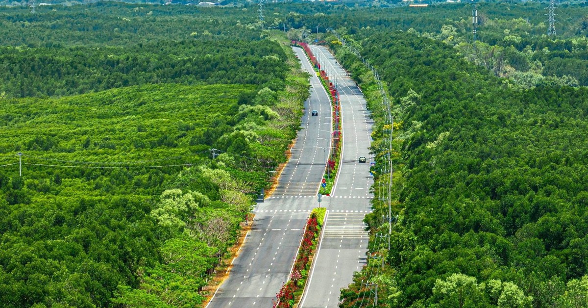 Các runner sẽ được trải nghiệm đường đua tốt nhất tại Cần Giờ