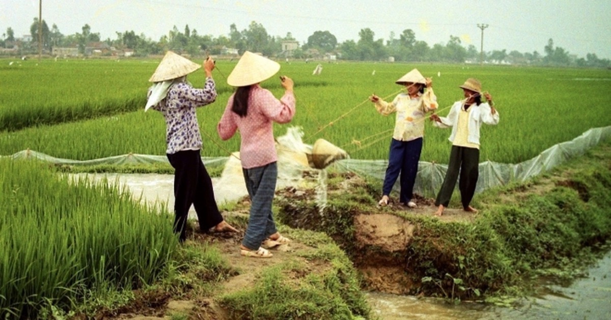 Chiếc gầu dây thương nhớ một thời trở lại phố phường
