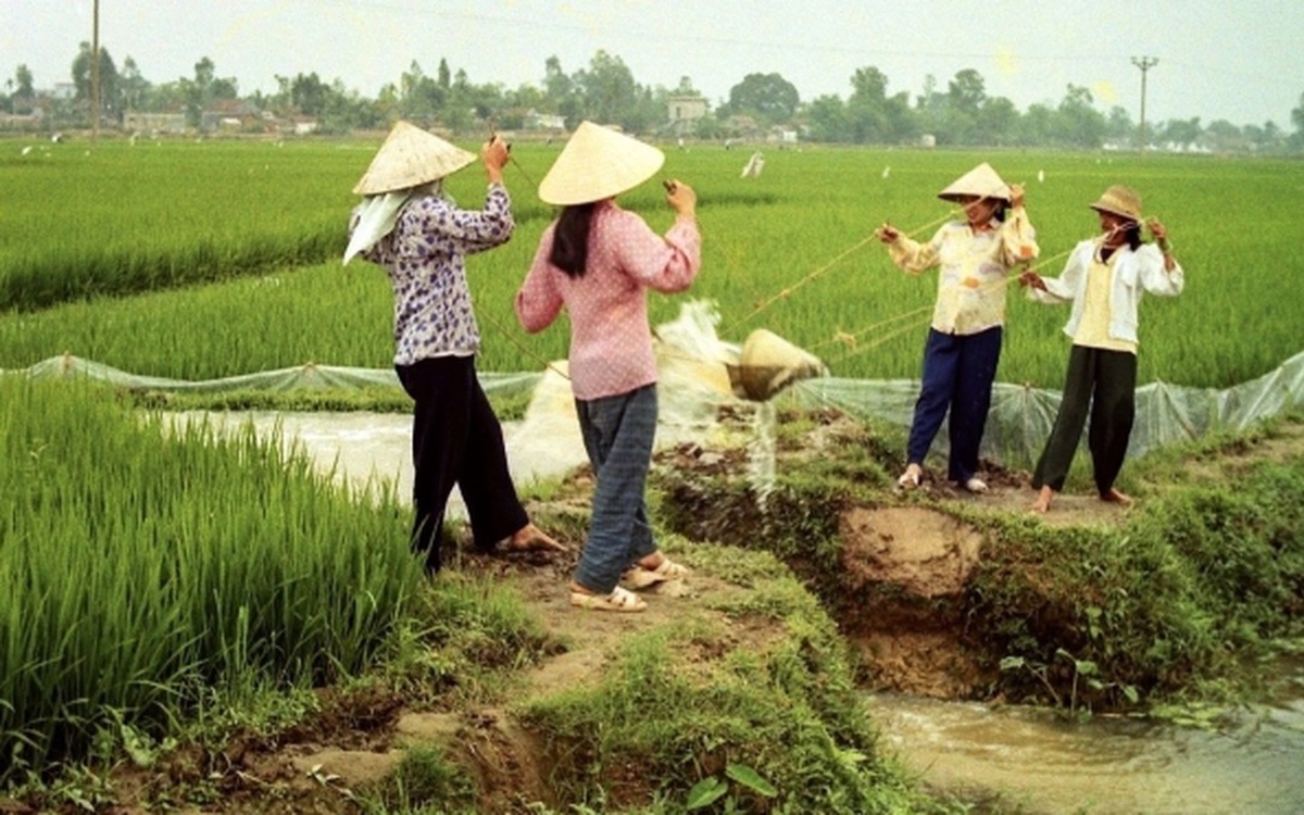 Chiếc gầu dây thương nhớ một thời trở lại phố phường