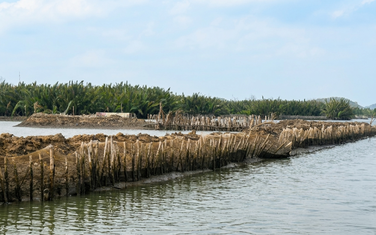 Bác khiếu nại của người bao chiếm đầm Đông Hồ