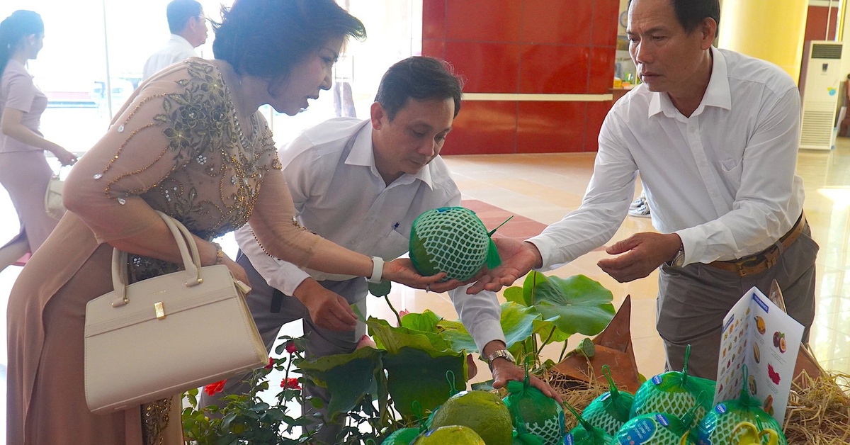 Đồng Tháp xuất khẩu lô bưởi đầu tiên sang Úc