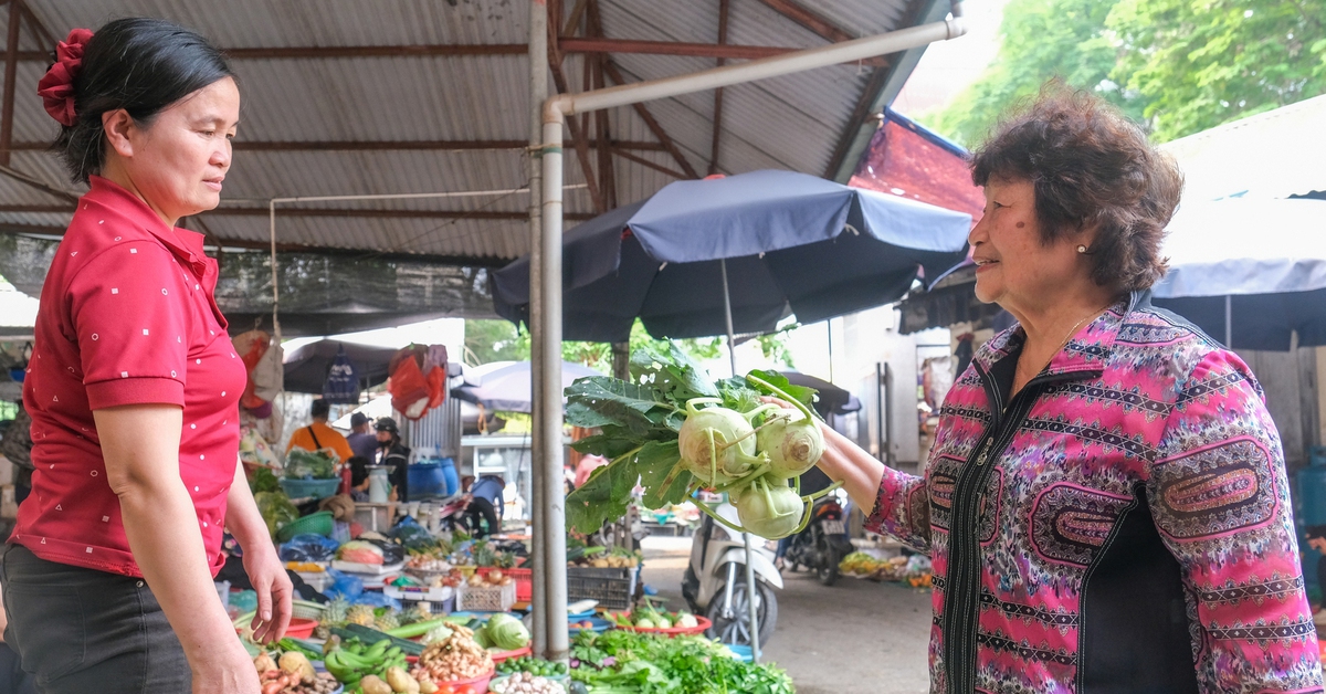 Đồng lương hưu ít ỏi và nỗi lo của người cao tuổi