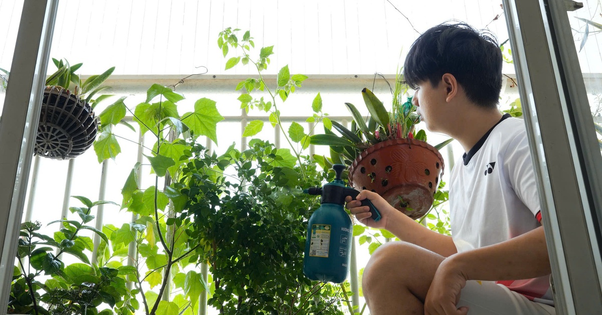 1.001 cách tiết kiệm điện: Bắt đầu từ một thay đổi nhỏ