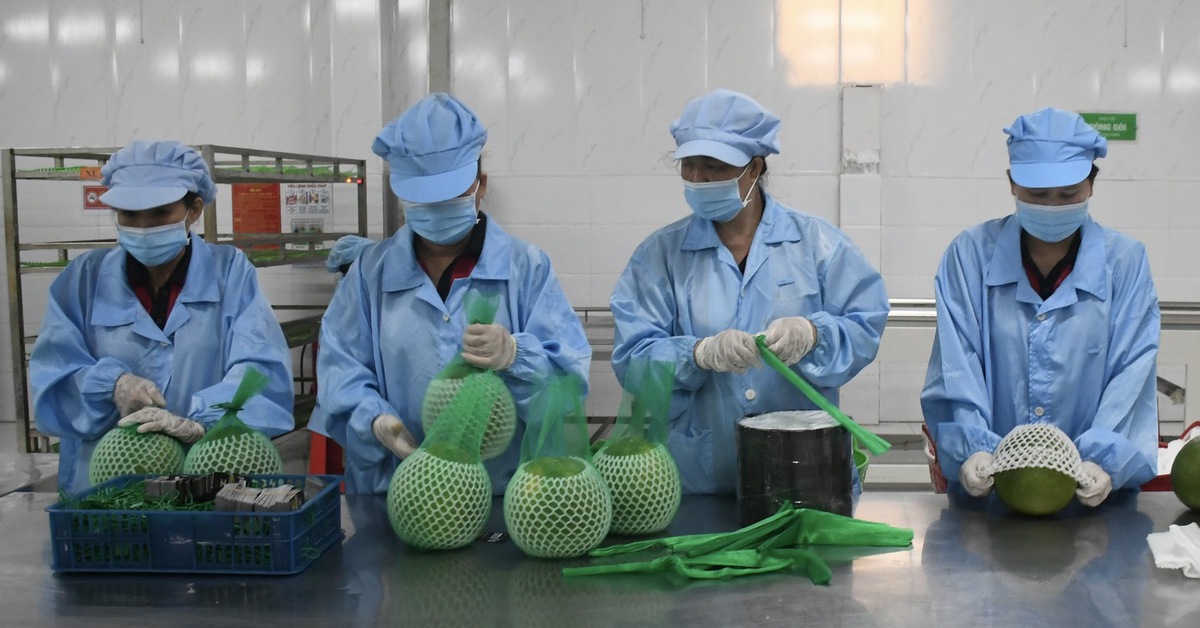 Tốc độ phát triển kinh tế của Vĩnh Long có nhiều khởi sắc