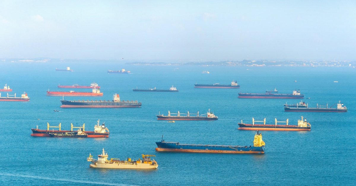 Tiếng ồn tàu thuyền khiến động vật biển căng thẳng, rối loạn hành vi