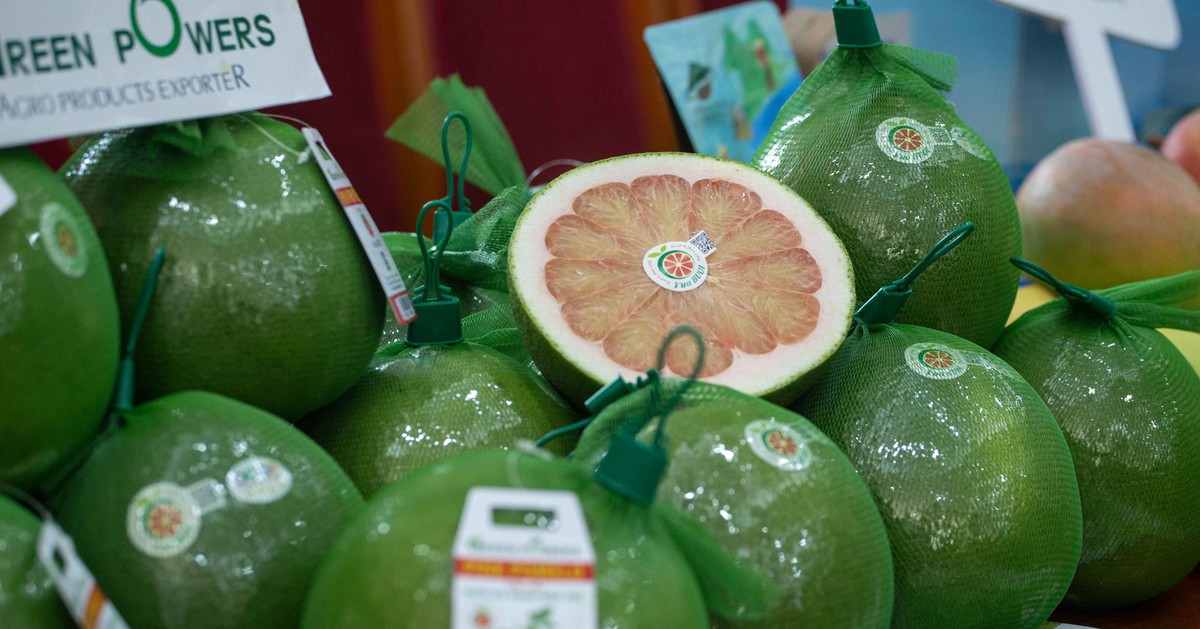 Những loại trái cây ngon và tốt cho người muốn giảm cân