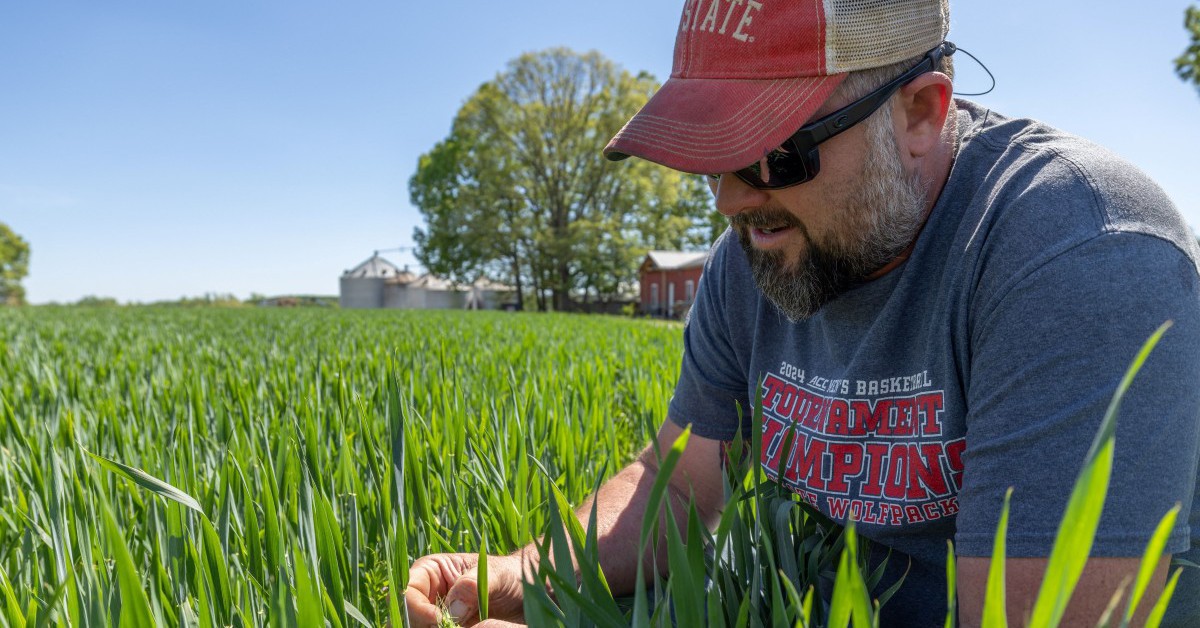 Nông dân Mỹ: 'Ông Trump cũng là con người như chúng ta, có lúc đúng, lúc sai'