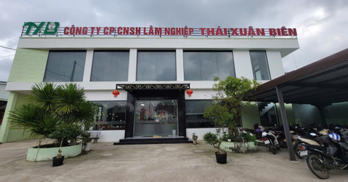 Từ phòng nuôi cấy mô đến những cánh rừng xanh