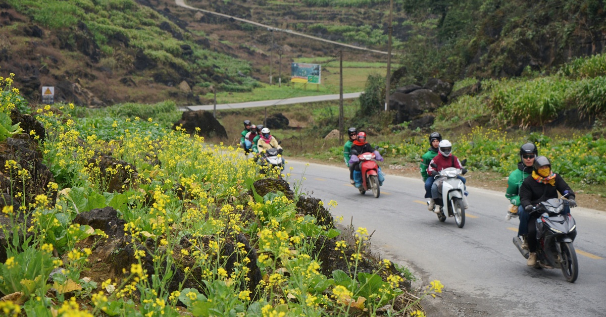 Chấn chỉnh tour du lịch bằng xe máy trên cung đường Hà Giang Loop