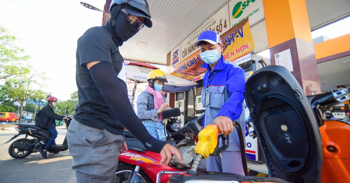 Concert cá nhân, giá cả thị trường ‘chiếm sóng’ tìm kiếm của người Việt