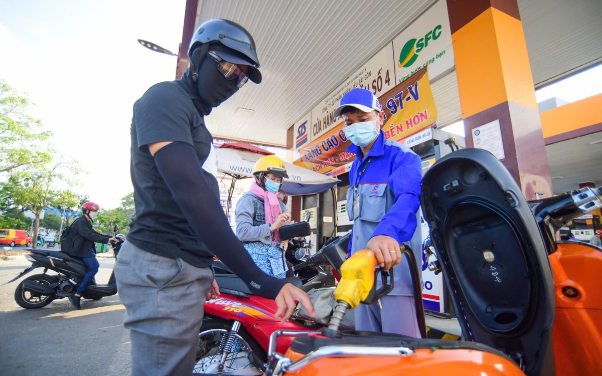 Concert cá nhân, giá cả thị trường ‘chiếm sóng’ tìm kiếm của người Việt