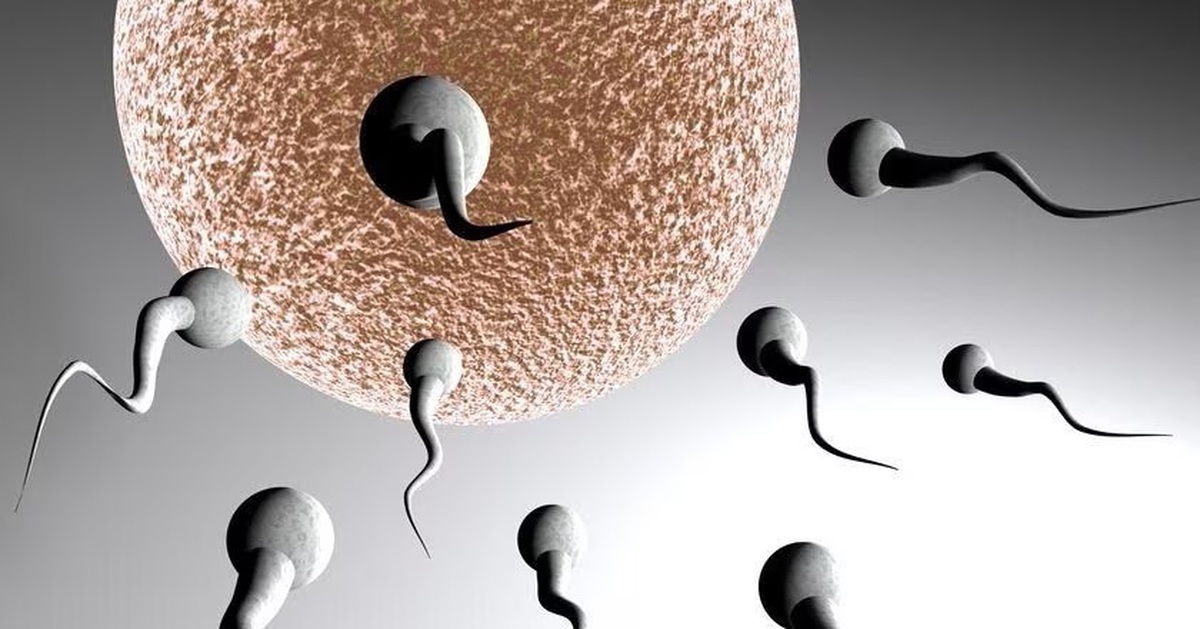 Nghiên cứu: Tinh trùng nam giới 'lên đỉnh' mùa hè, giảm mạnh vào mùa đông