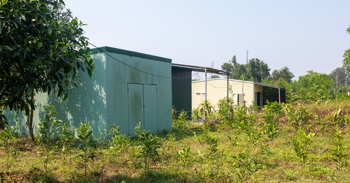 Hàng loạt nhà trái phép trên đất nông nghiệp tại dự án quốc lộ 15D