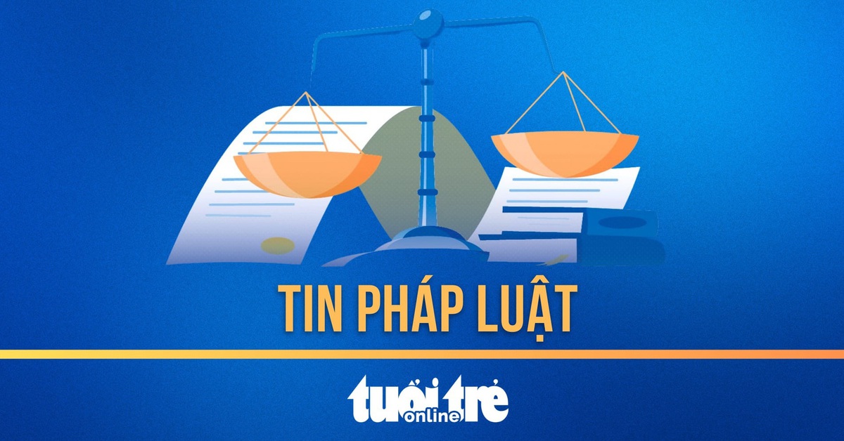 Dùng bệnh án tâm thần 'né tội', người phụ nữ vẫn lãnh 13 năm tù