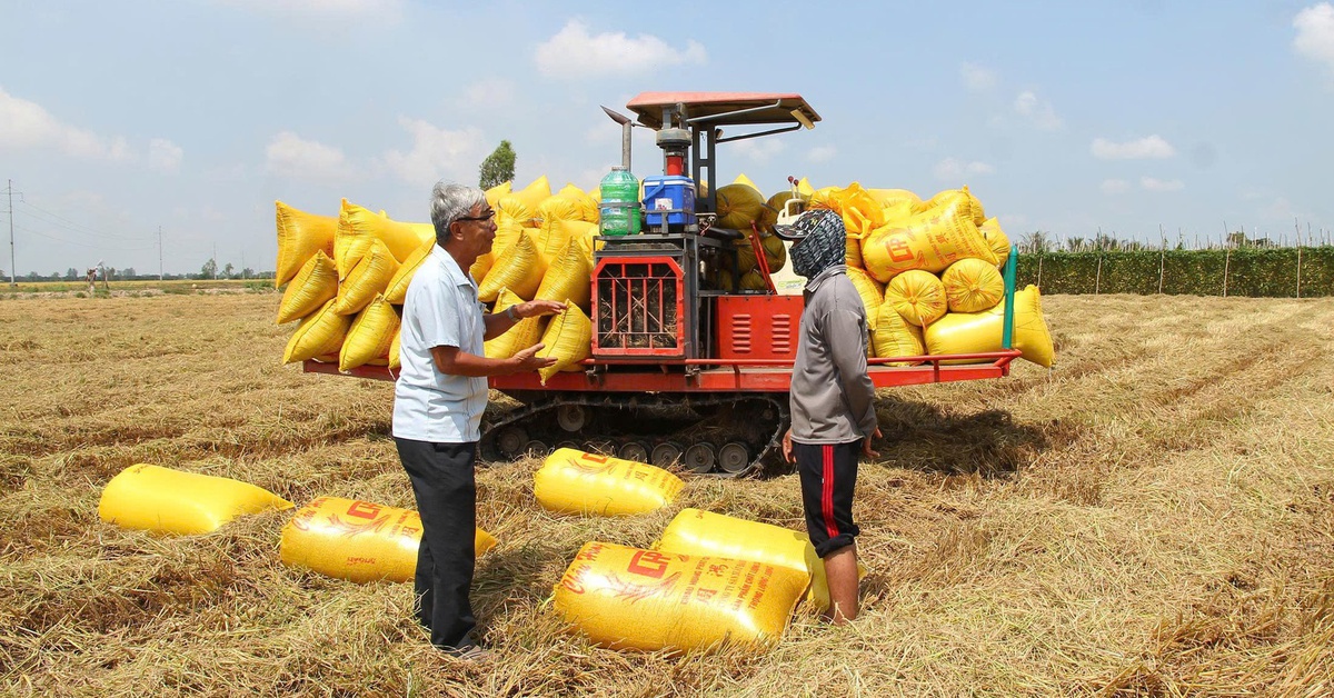 Yêu cầu chuyển từ tư duy sản xuất sang kinh tế nông nghiệp xanh