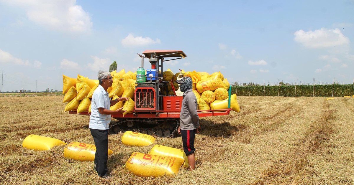 Yêu cầu chuyển từ tư duy sản xuất sang kinh tế nông nghiệp xanh