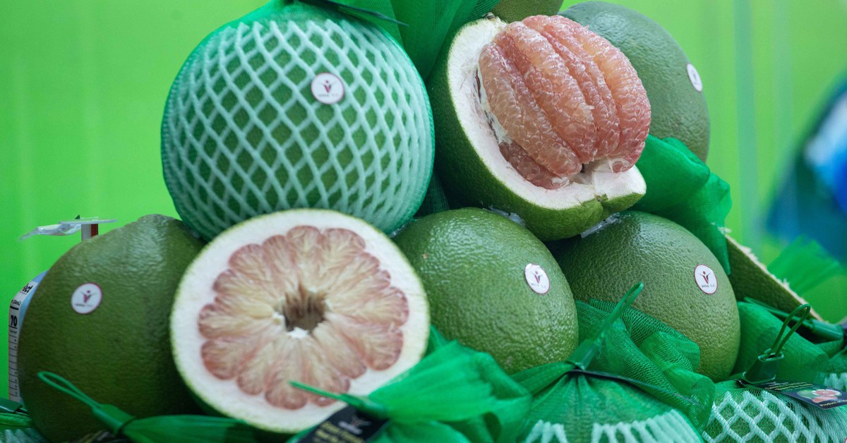 Ký nghị định thư xuất khẩu bưởi, chanh sang Trung Quốc