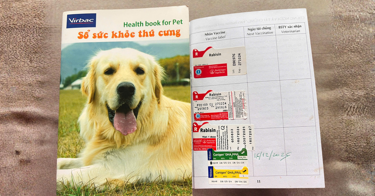 Cần đưa vắc xin ngừa dại vào danh mục thuốc được bảo hiểm y tế chi trả