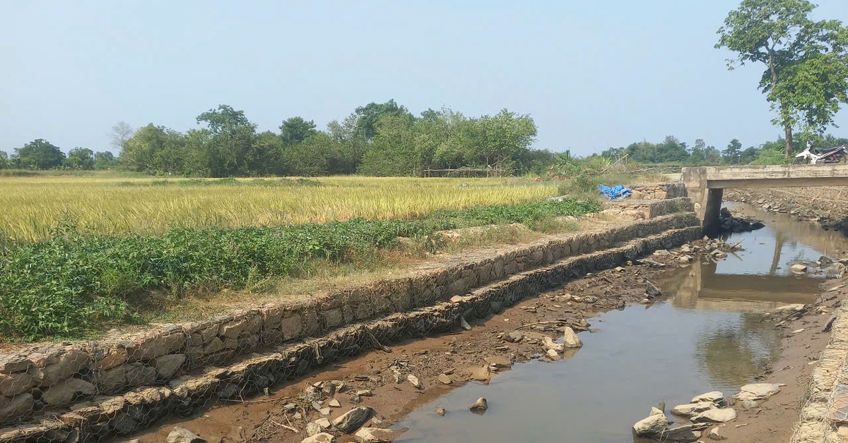 Mặn xâm nhập sâu ở Đà Nẵng, phải bơm lách mặn cứu lúa