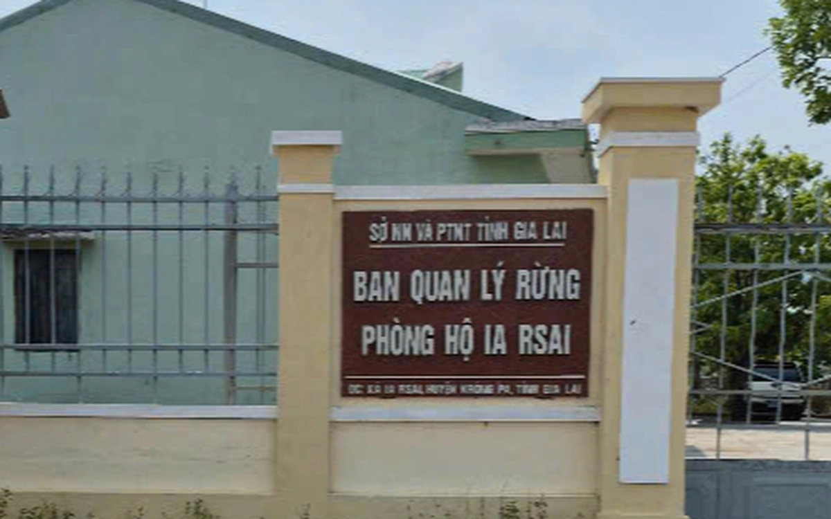 Bắt Giám đốc Ban Quản lý rừng phòng hộ Ia Rsai, Gia Lai