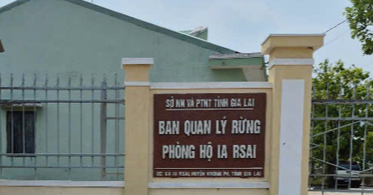 Bắt Giám đốc Ban Quản lý rừng phòng hộ Ia Rsai, Gia Lai