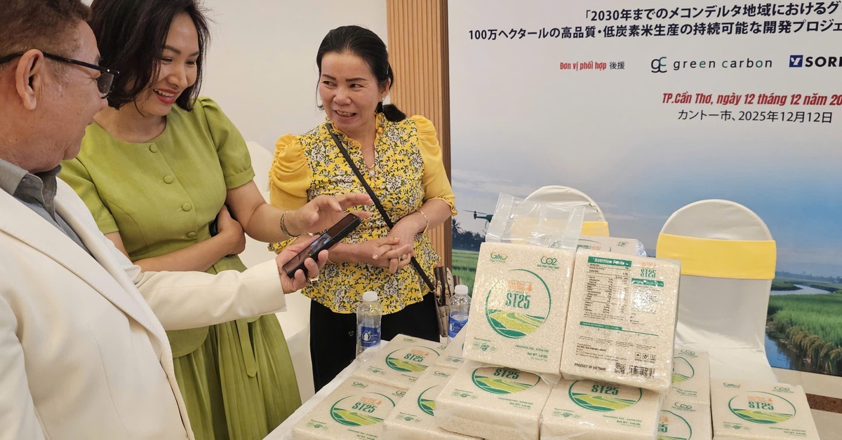 Cà Mau mời các tỉnh, thành Đồng bằng sông Cửu Long thi ‘gạo ngon’