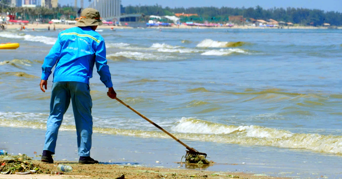 Nước biển Vũng Tàu đổi màu xanh, tím: Ghi nhận 69 loài thuộc 3 ngành tảo trong mẫu nước