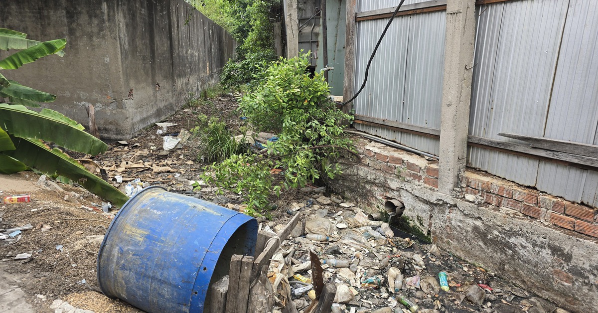 Dân tố nhiều doanh nghiệp gây ô nhiễm rạch Hậu Cái Thia