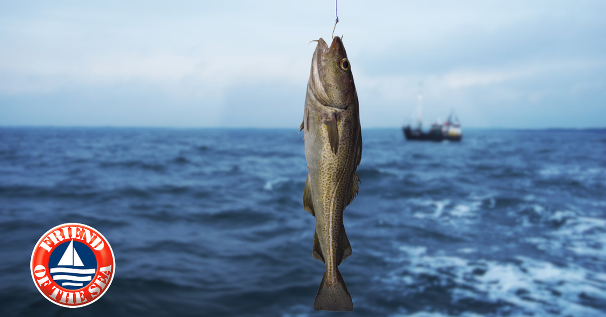 Cách bổ sung Omega-3 ‘vừa tươi vừa tốt’ để tăng cường sức khỏe