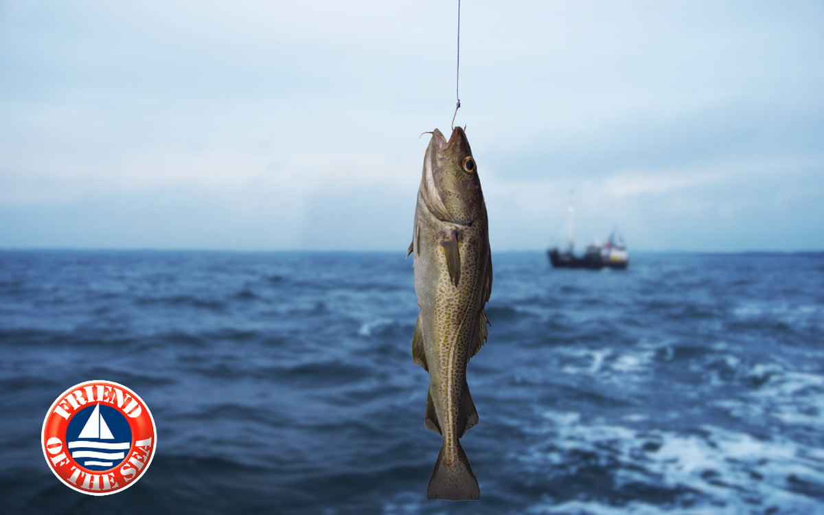 Cách bổ sung Omega-3 ‘vừa tươi vừa tốt’ để tăng cường sức khỏe