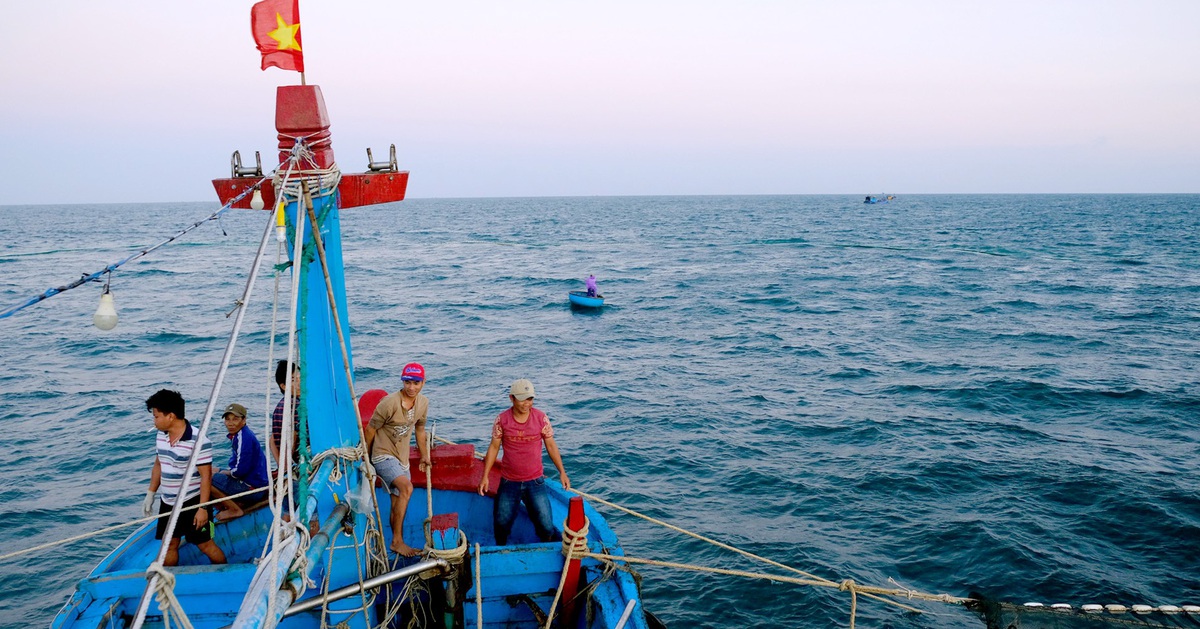 Quảng Ngãi công bố 3 khu vực biển làm nơi nhận chìm 9,2 triệu m³ chất nạo vét