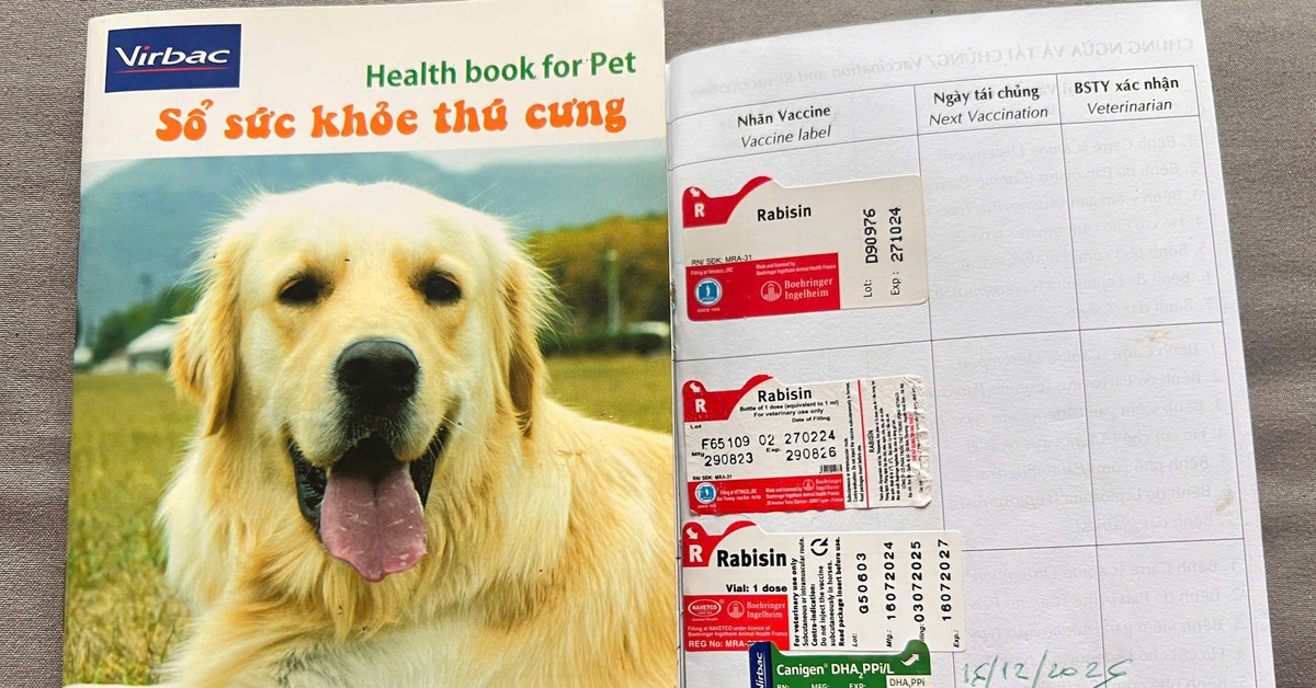 Cần đưa vắc xin ngừa dại vào danh mục thuốc được bảo hiểm y tế chi trả