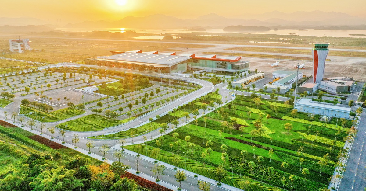 Sếu đầu đàn trong công cuộc chinh phục bầu trời