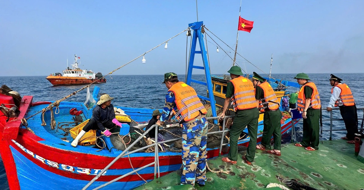 Vì sao EC chưa gỡ 'thẻ vàng' cho thủy sản Việt Nam?