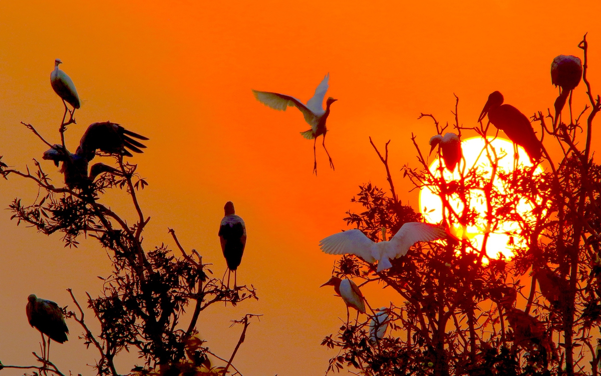 81 ảnh kể chuyện thiên nhiên Việt Nam trước biến đổi khí hậu