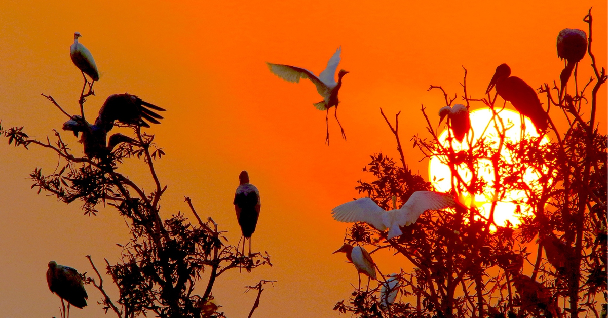 81 ảnh kể chuyện thiên nhiên Việt Nam trước biến đổi khí hậu