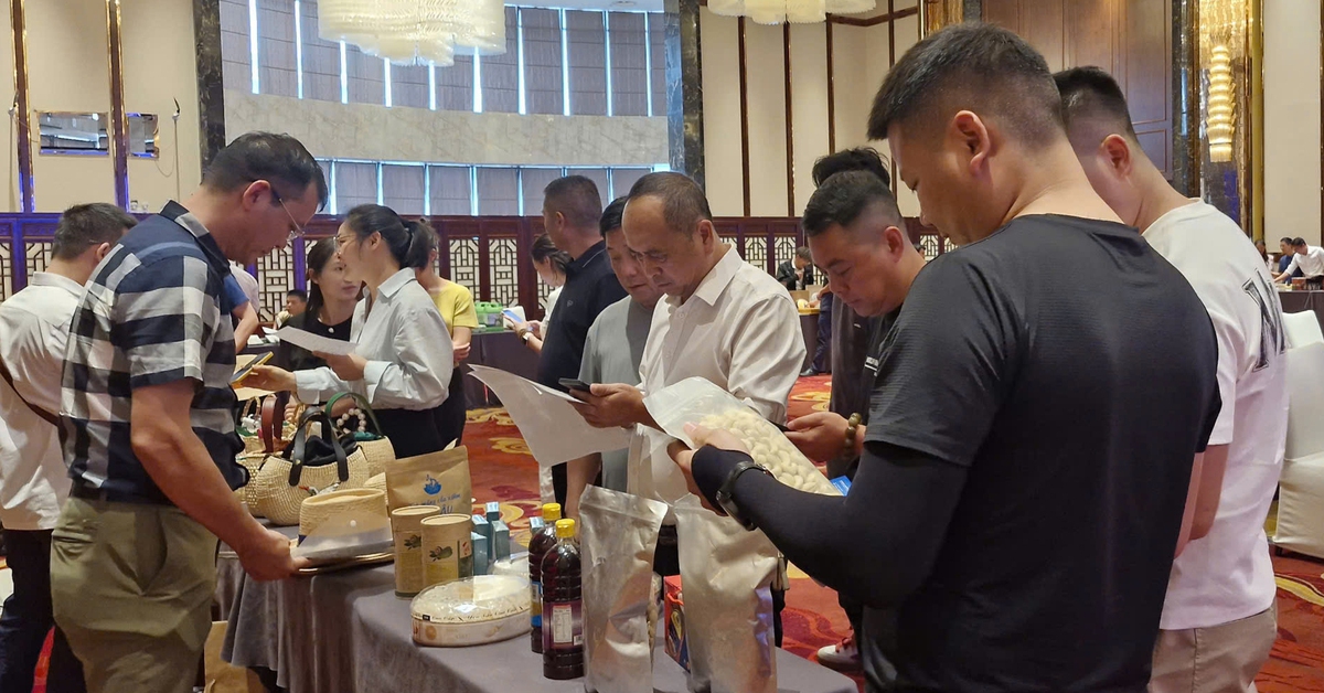 Mở rộng cánh cửa xuất khẩu vào thị trường lớn Trung Quốc