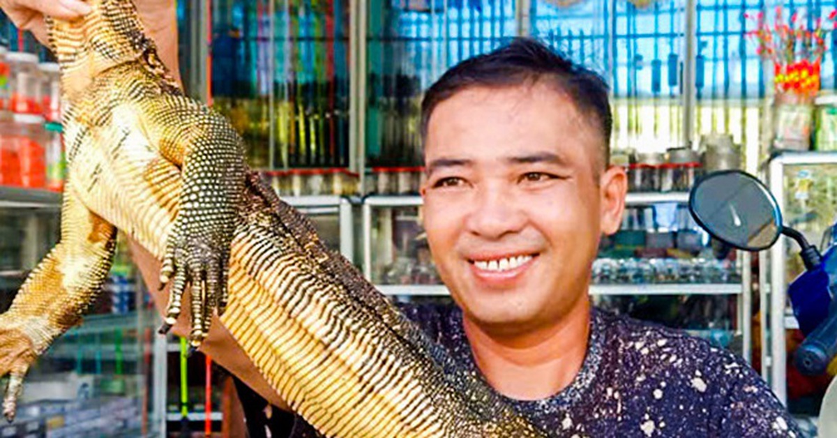 Kỳ đà hoa quý hiếm vào... phòng ngủ, người dân giao nộp kiểm lâm