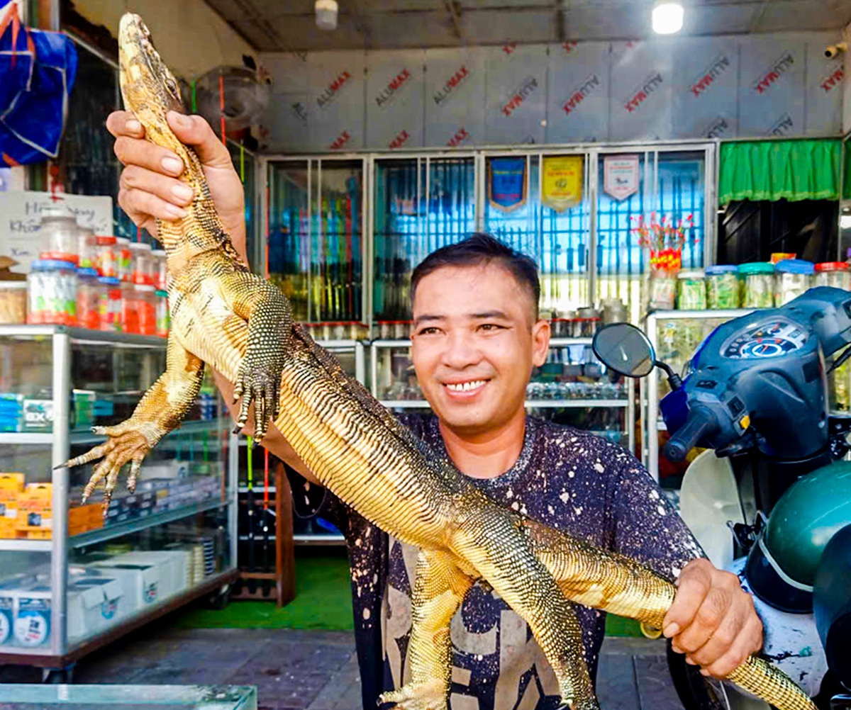 Kỳ đà hoa quý hiếm vào... phòng ngủ, người dân giao nộp kiểm lâm