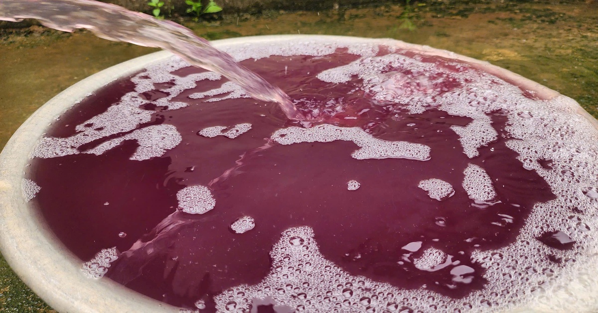 Nước sinh hoạt chuyển màu tím ở Thanh Hóa, xác định do nước thải doanh nghiệp