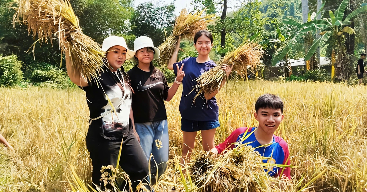 Học sinh học làm nông, bắt cá tại 'lớp học' giữa rừng Yang Bay