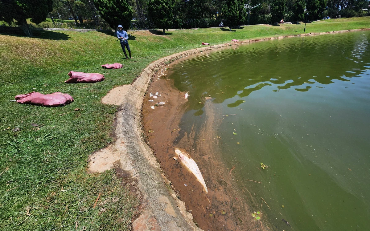 Chi 48 tỉ đồng xử lý ô nhiễm hồ Xuân Hương