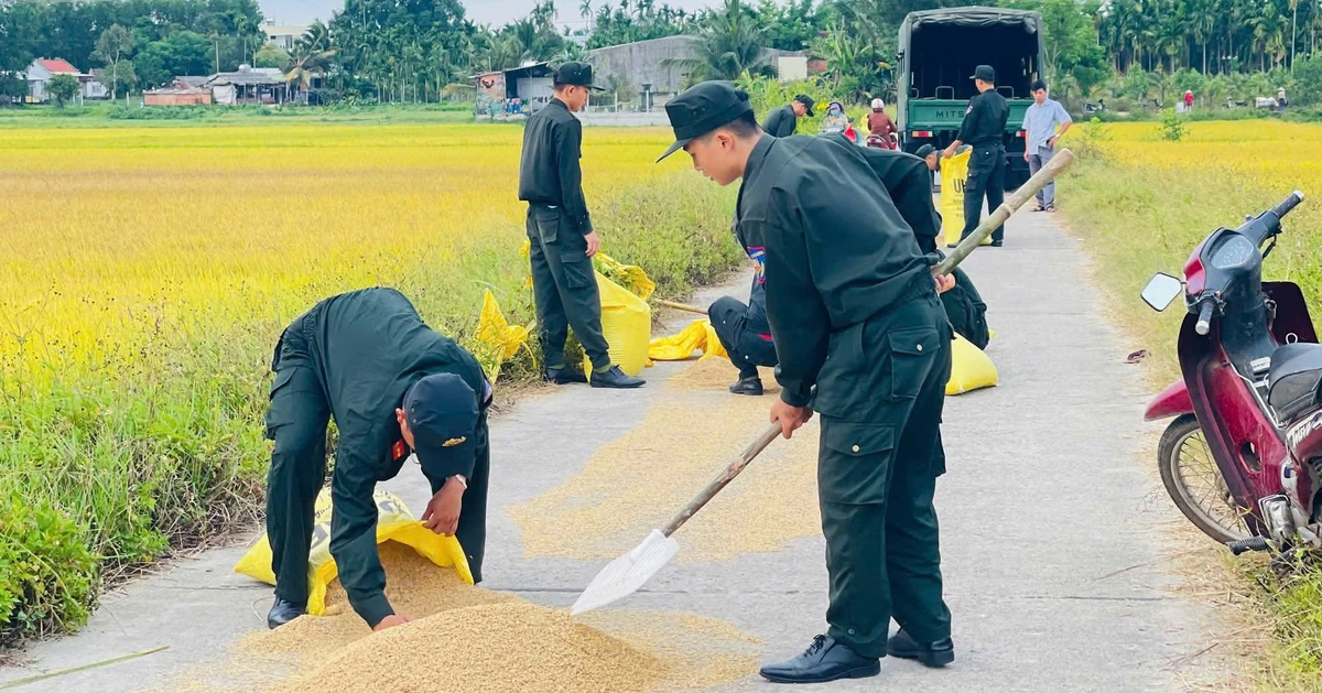 Đi làm nhiệm vụ về, thấy người khuyết tật khó nhọc gom lúa, cảnh sát cơ động dừng lại giúp